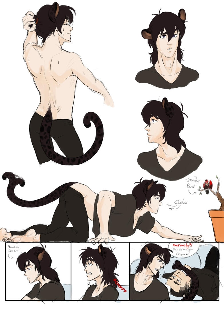 Voltron Legendary Defender Fanart